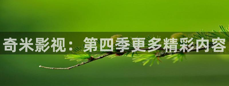 樱桃视频免费观看版