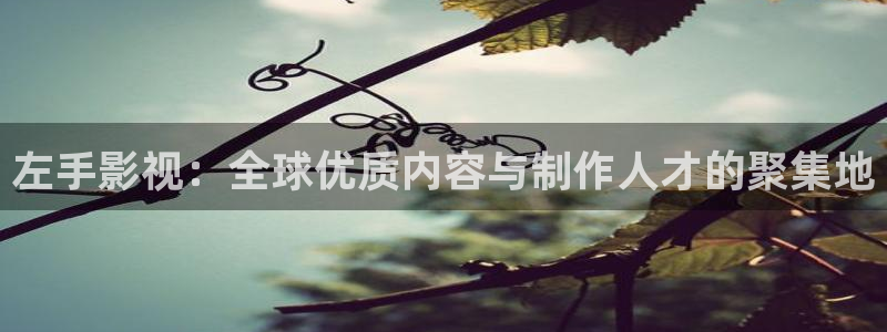 樱桃免费高清视频