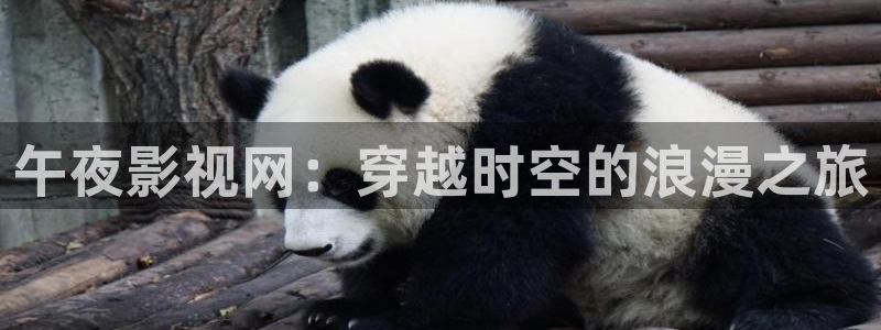 樱桃视频高高清下载免费观看