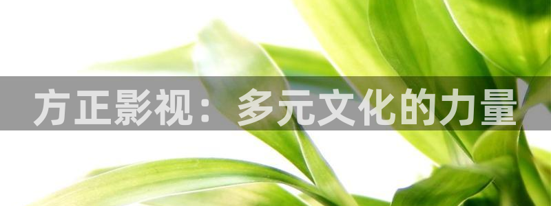 樱桃视频19p